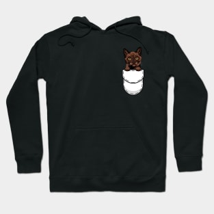 Funny Burmese Pocket Cat Hoodie